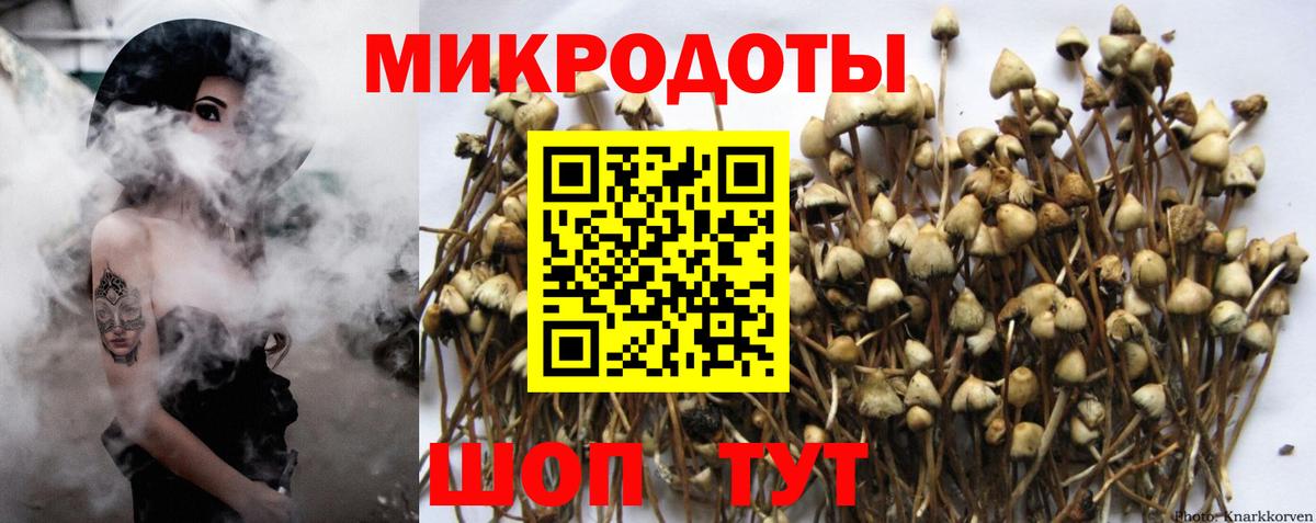 Псилоцибиновые грибы Cubensis  Псилоцибиновые грибы Psilocybine cubensis  Старая Купавна  даркнет сайт  Вход с VPN 