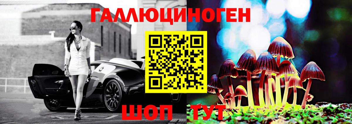 Псилоцибиновые грибы GOLDEN TEACHER Старая Купавна